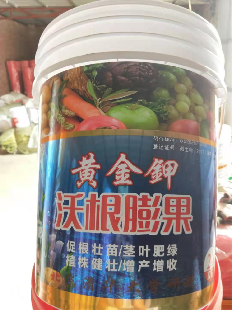 黄金甲沃根膨果